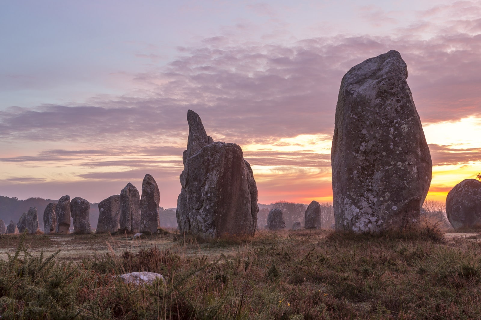 Alignements de Kermario à Carnac